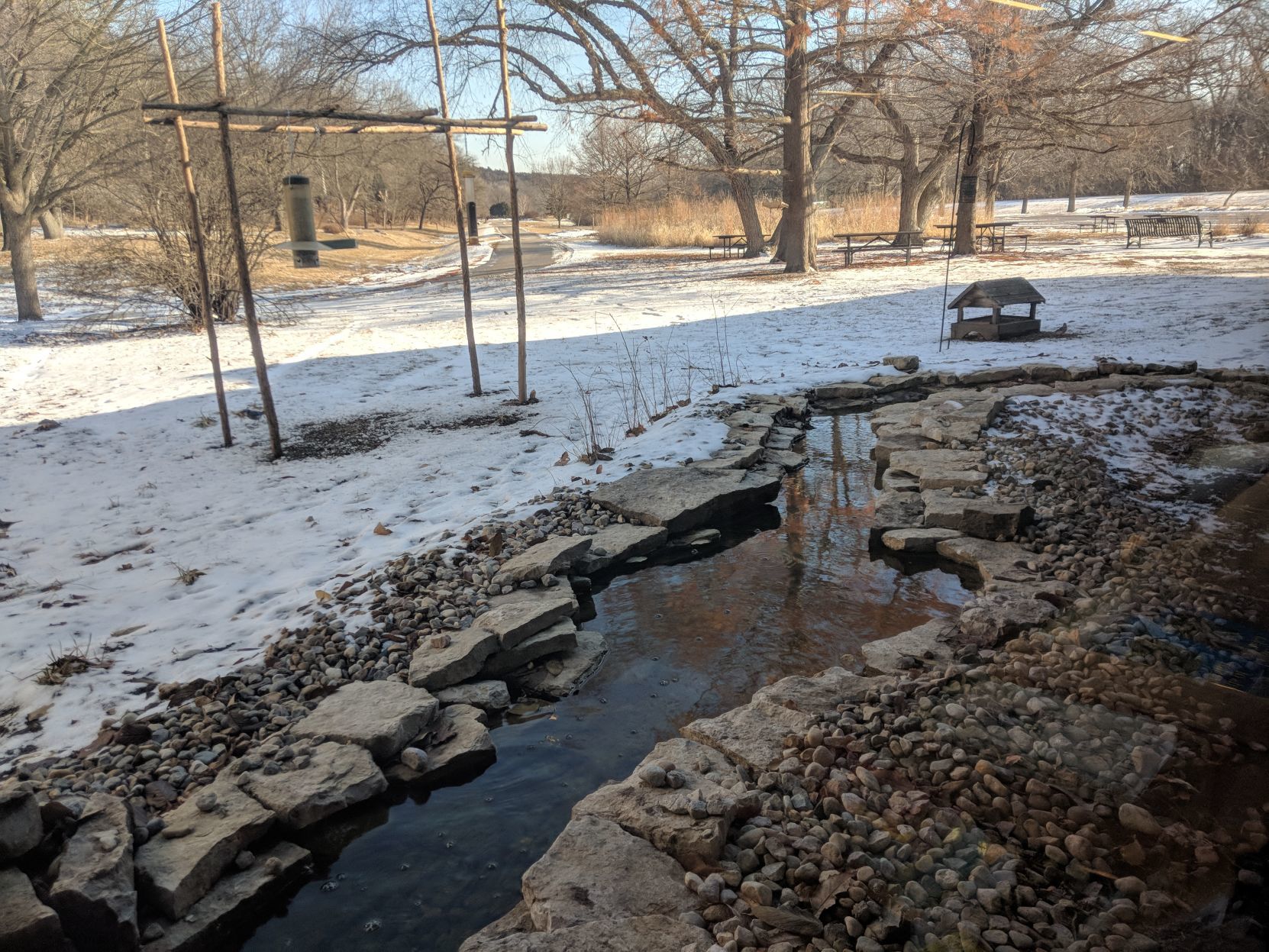 Schramm bird feeding area